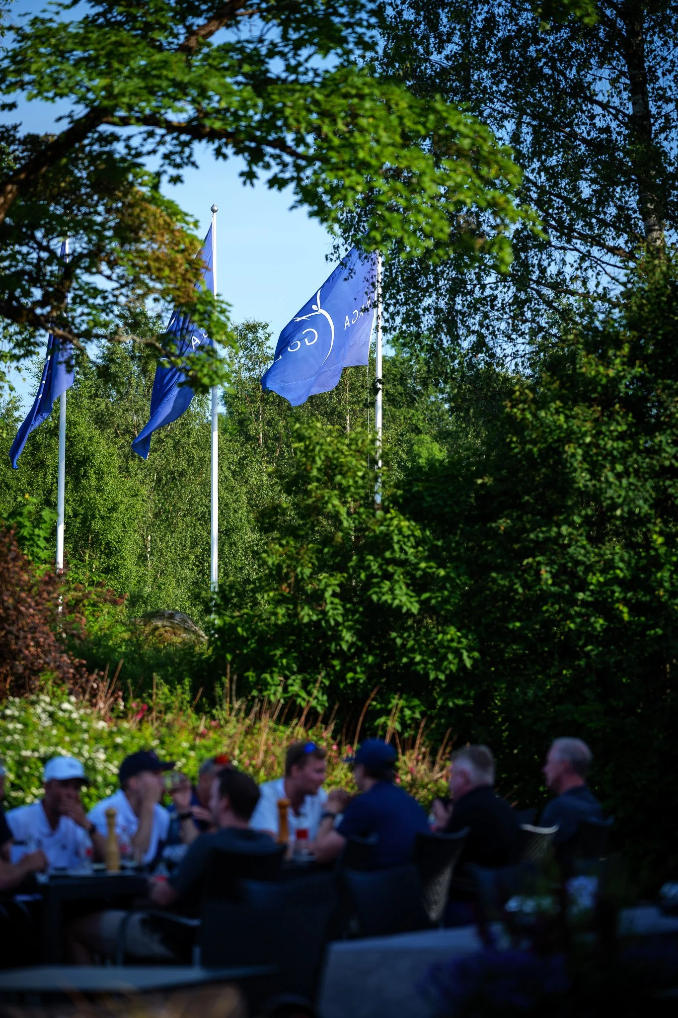 P1054575.jpg