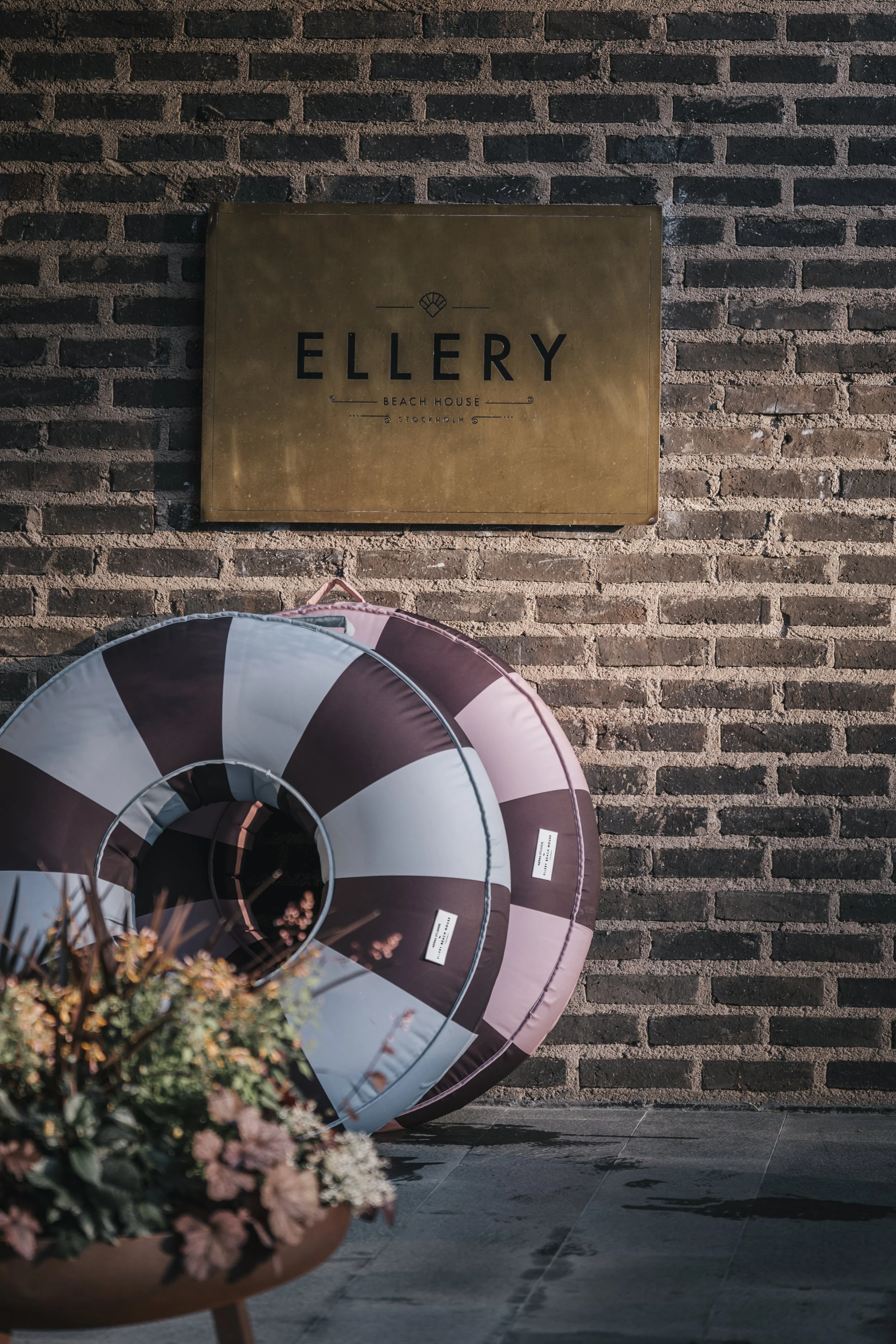 EBH_colab-15.jpg