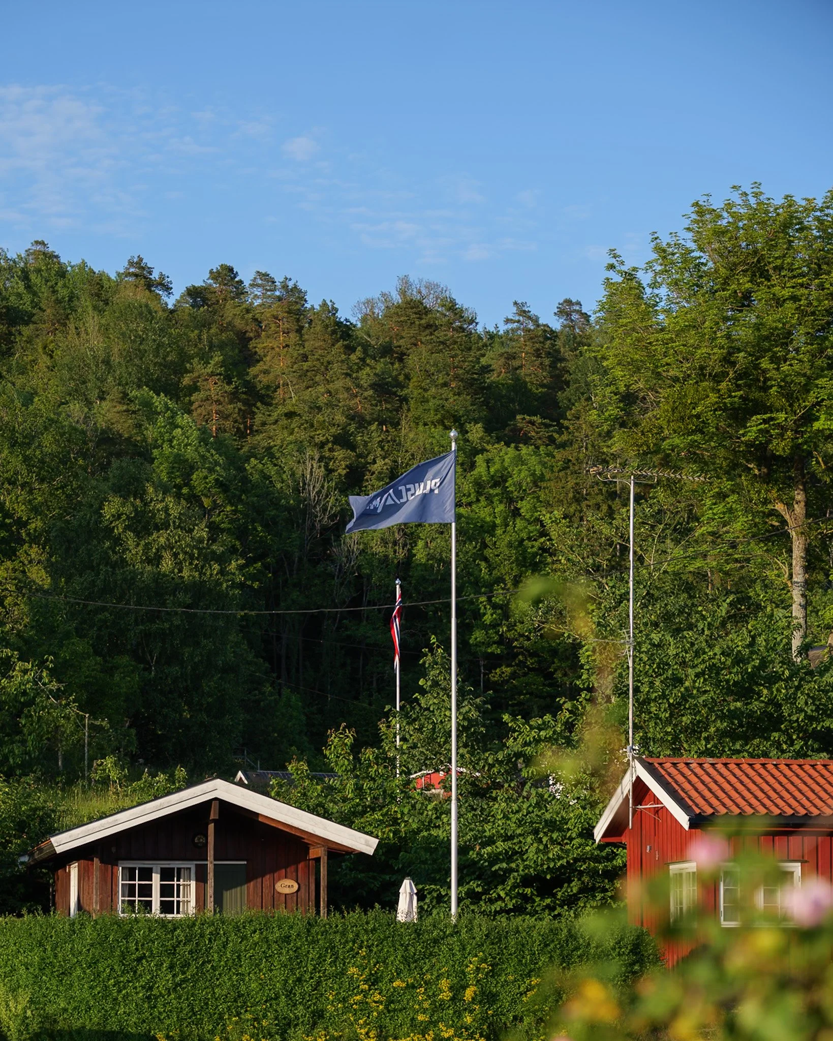 Løvøya