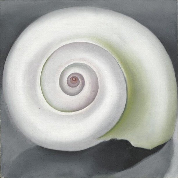Georgia O'Keeffe, 'Shell No. I', 1928