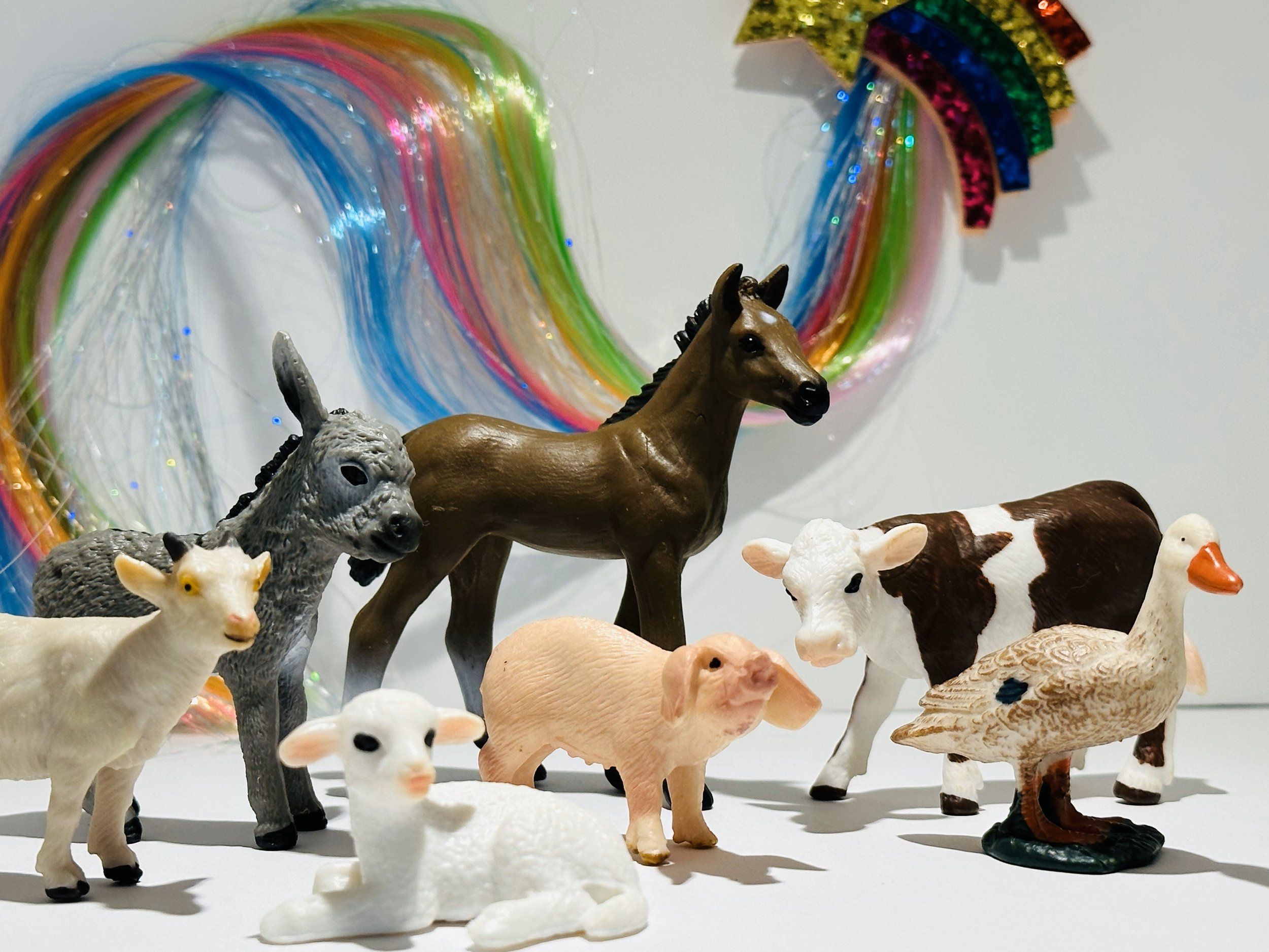 close up of animals.jpeg