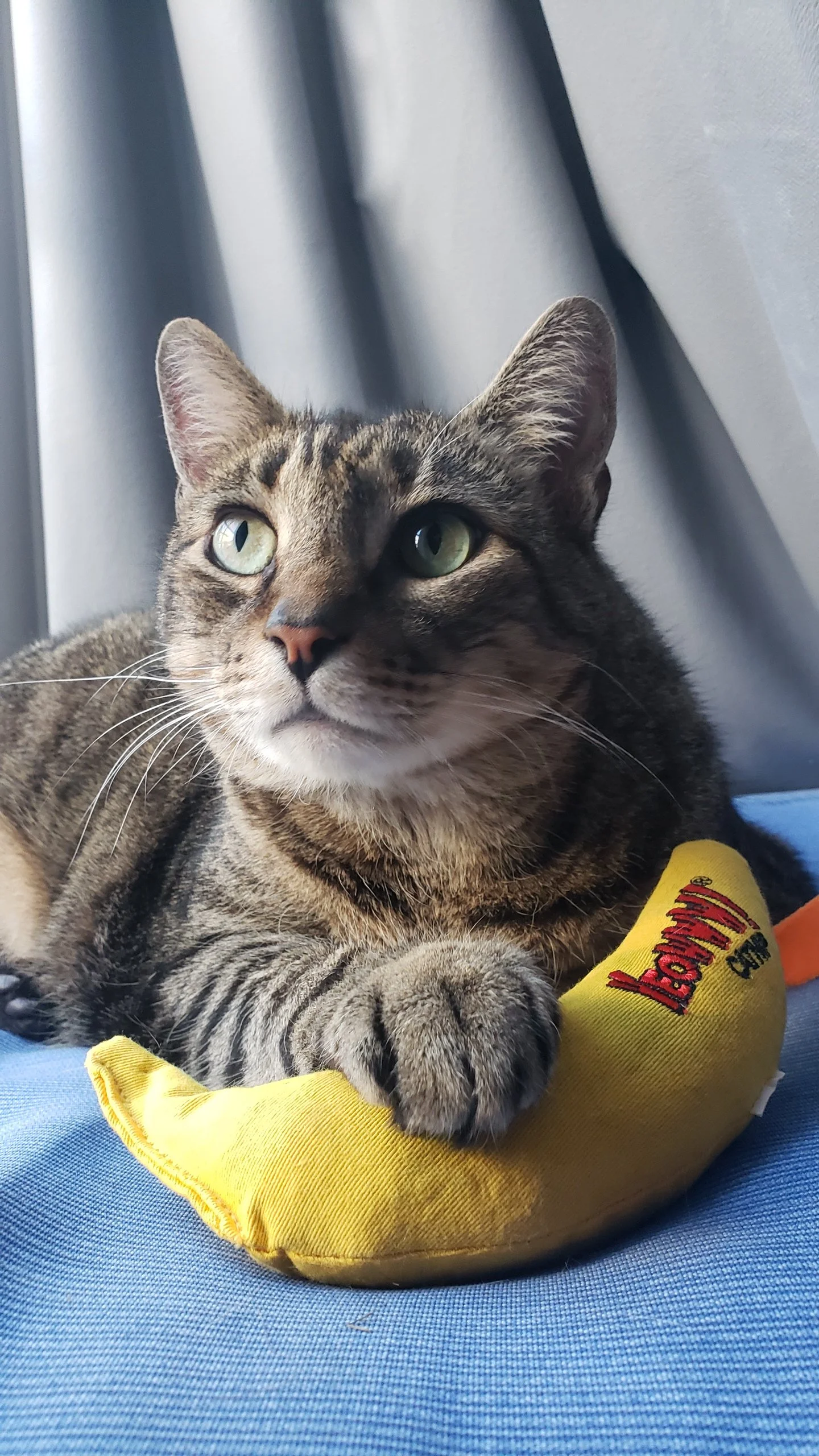 Max