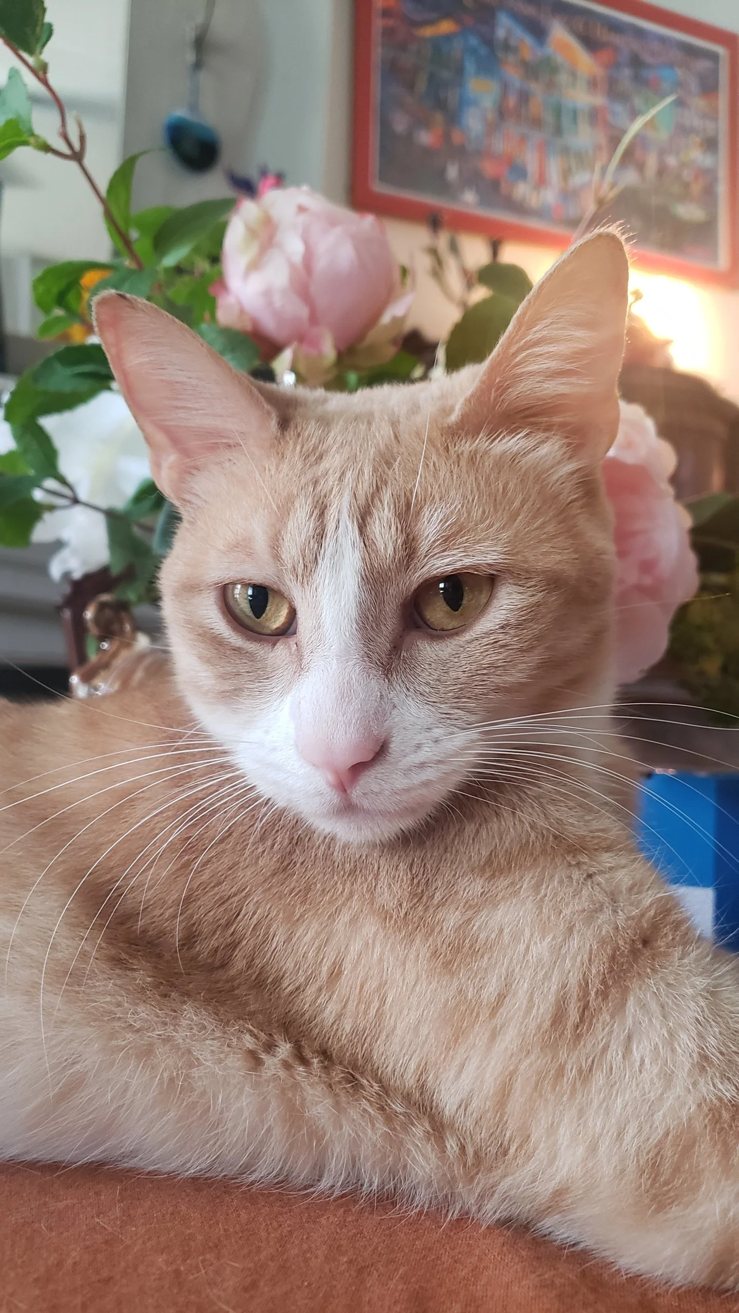 Magnus