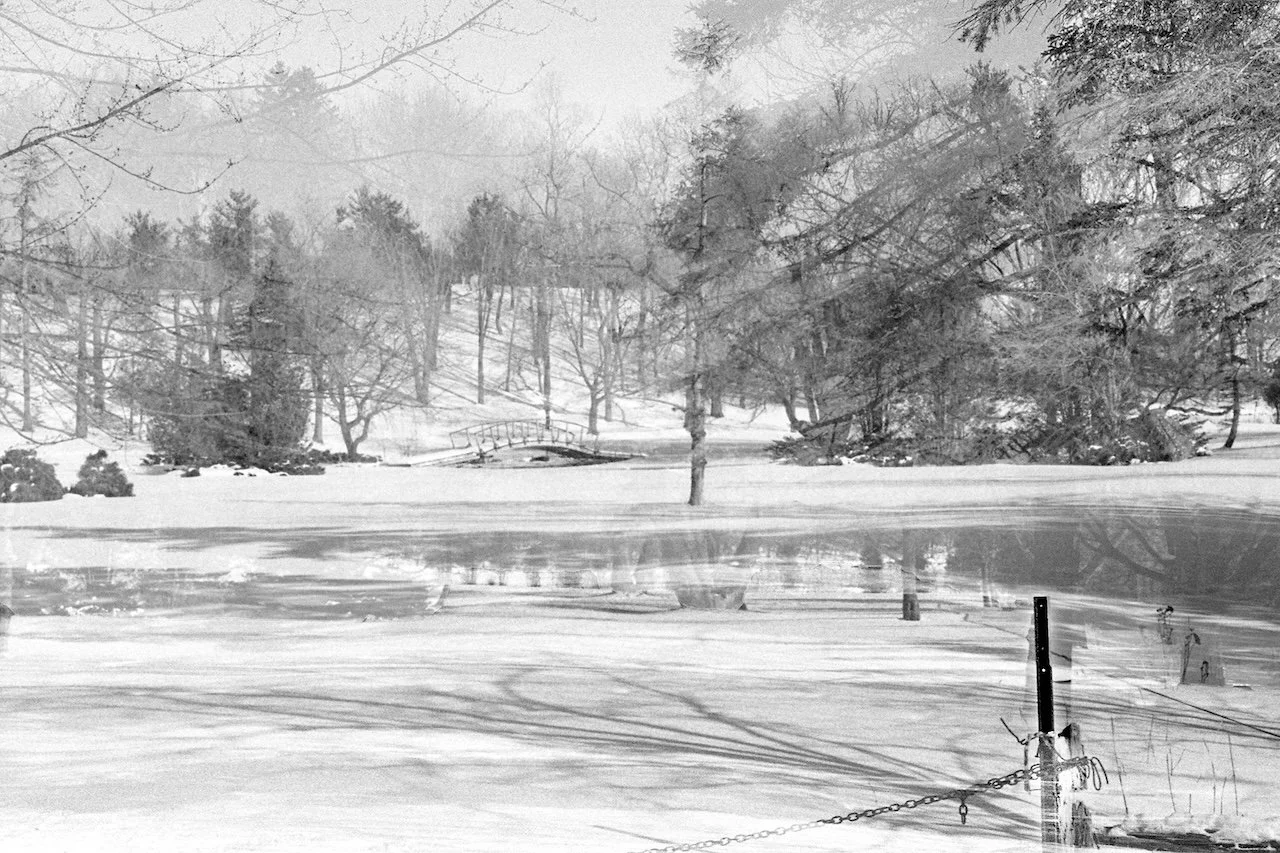 LISA_PHOT 332_Estate_WEB.jpg