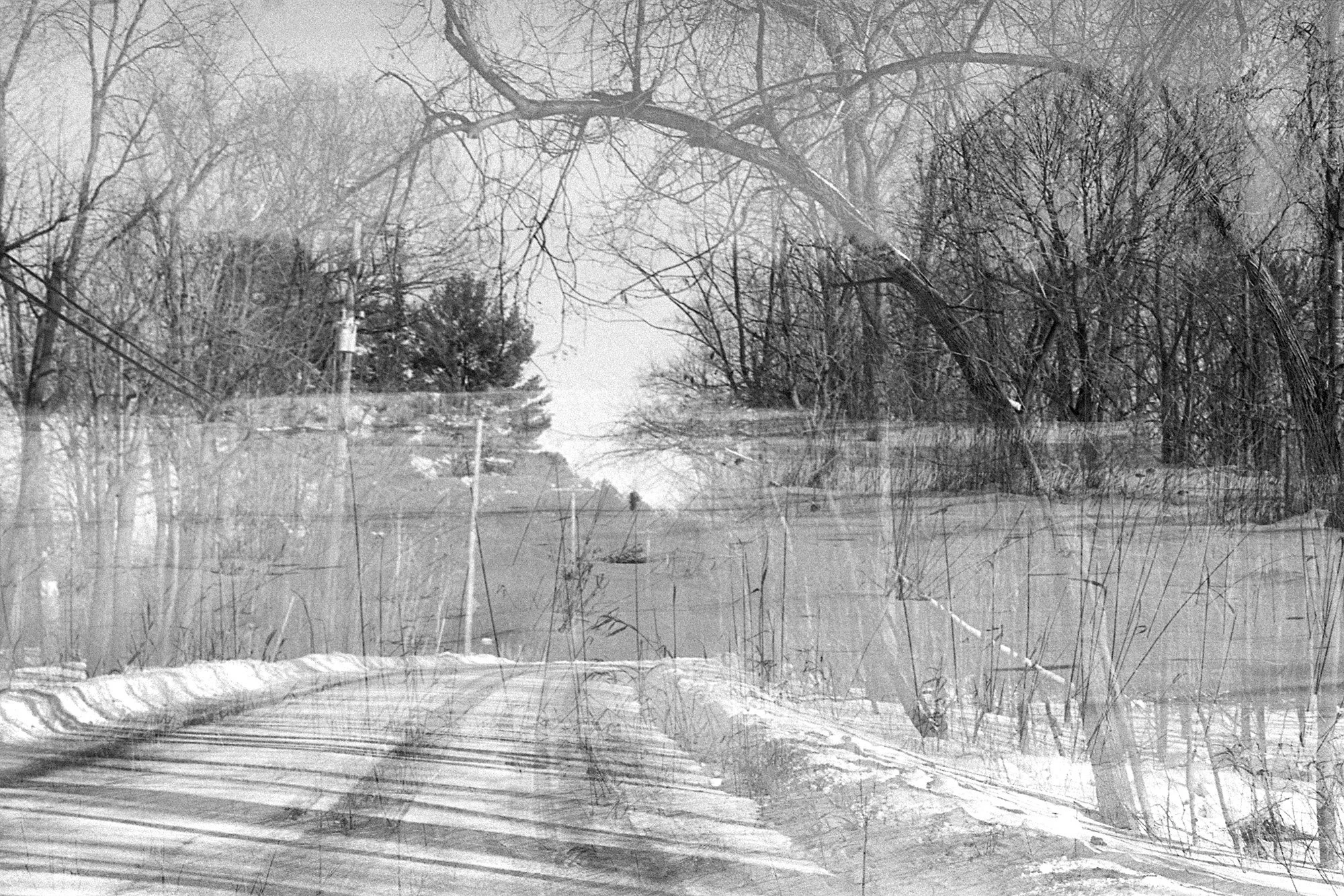 PHOT 300_Country Path_WEB.jpg