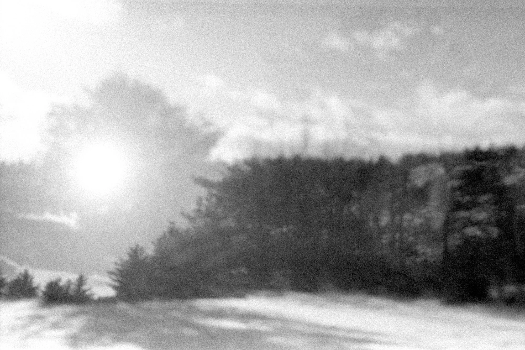 PHOT 300_Bright Sun_WEB.jpg