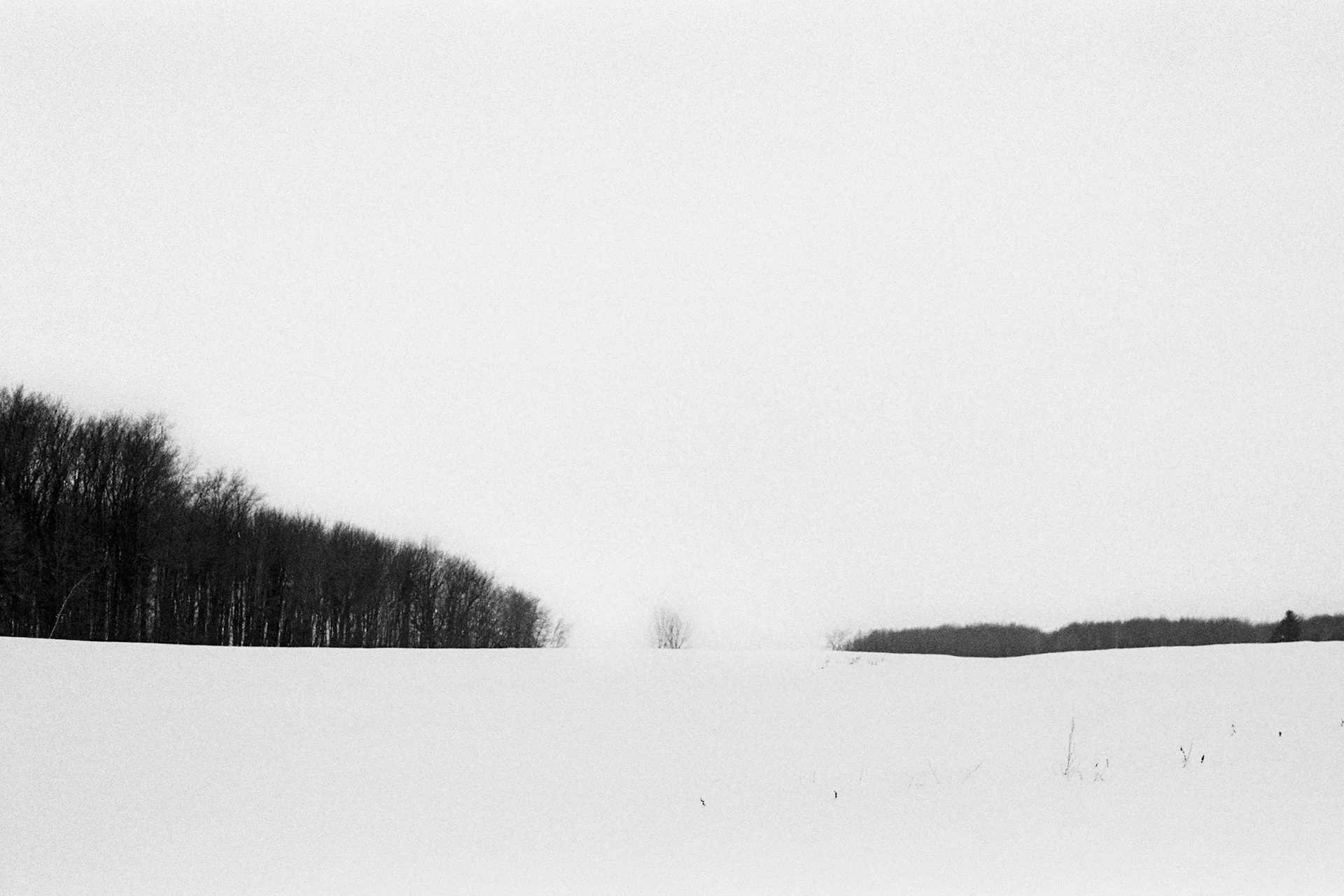 LISA_PHOT 332_Snowscape_WEB.jpg