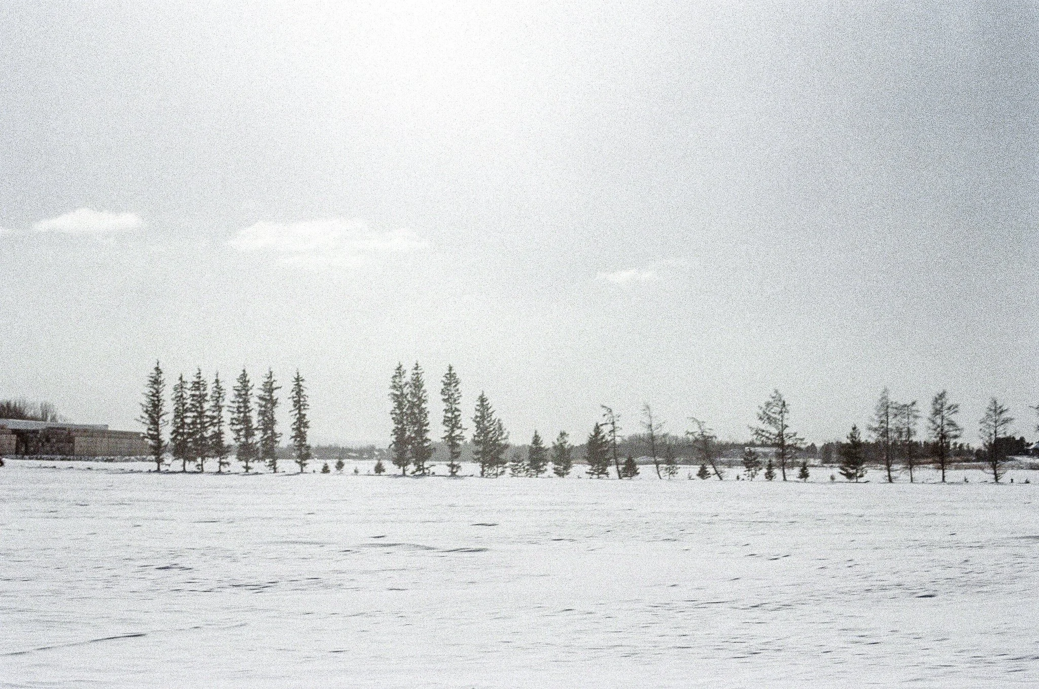 3352-28.jpg