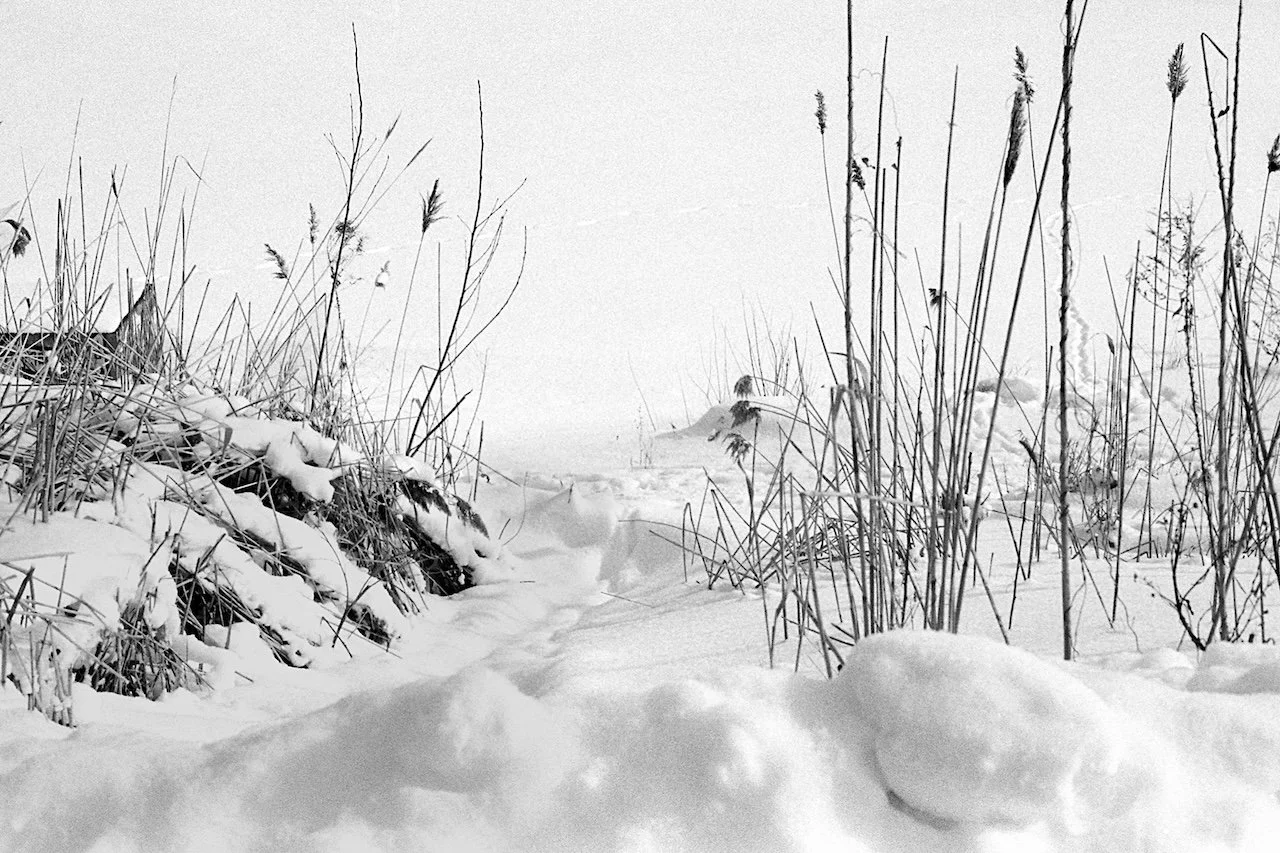 LISA_PHOT 332_Beach Path_WEB.jpg
