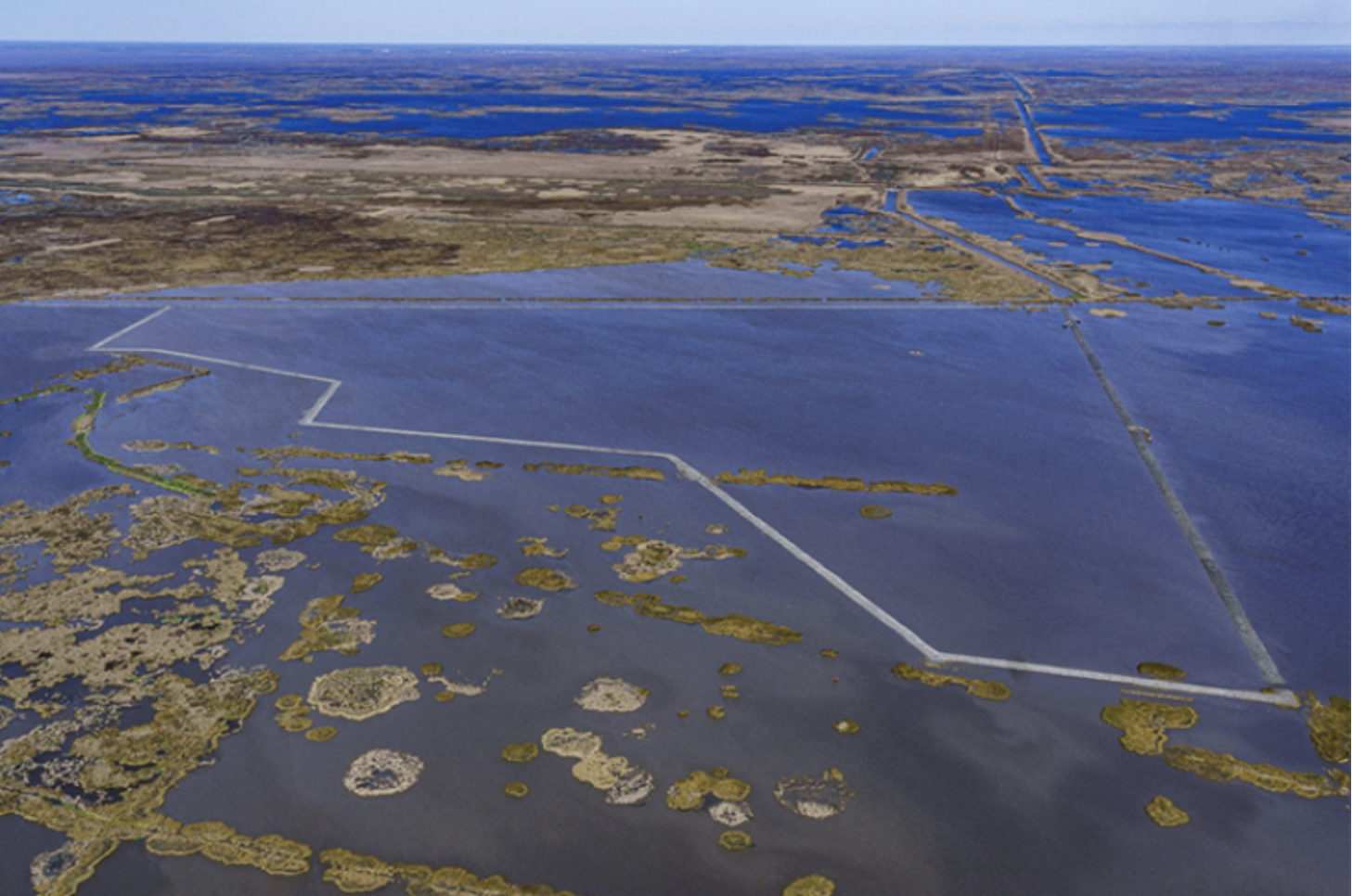 Screen Shot 2023-07-27 at 9.18.46 PM.png