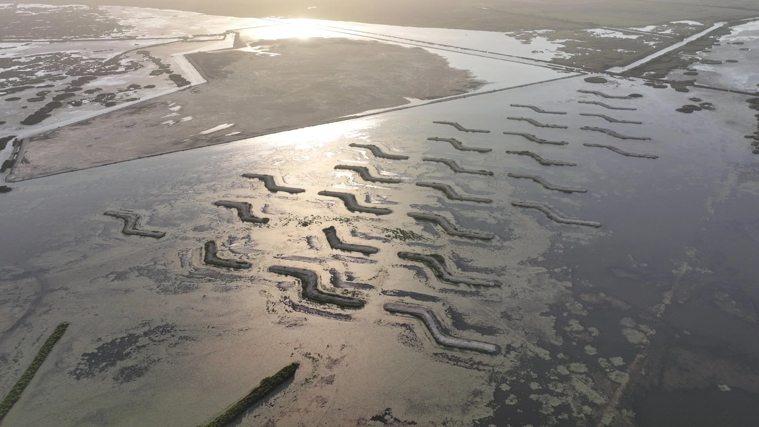 MARSH Restoration 2.JPG