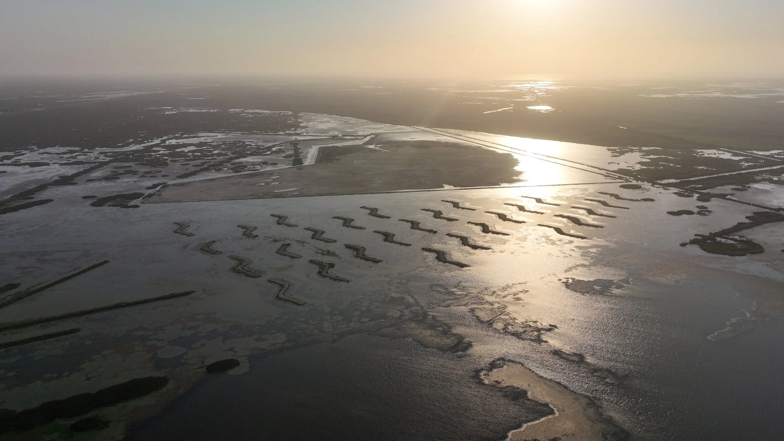 MARSH Restoration 3.JPG