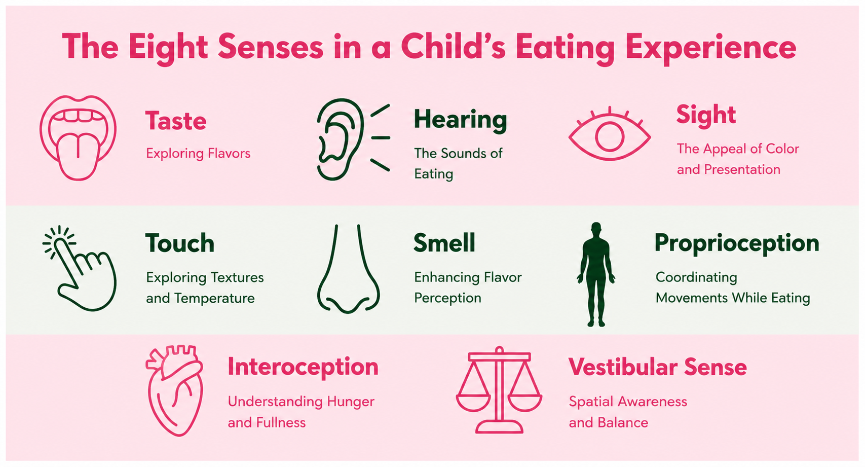 chart image of eight senses experienced during a child's eating experience.