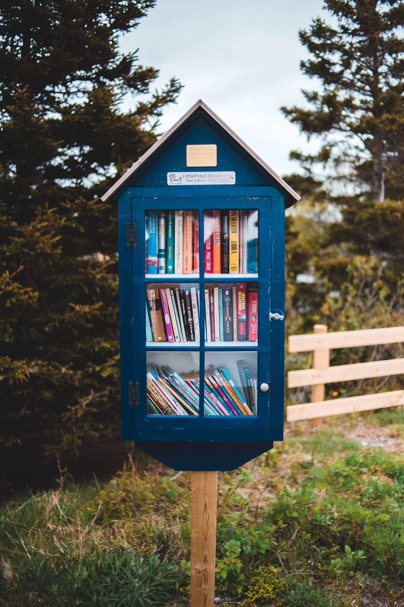 photo of blue yard lending library filled with colored books