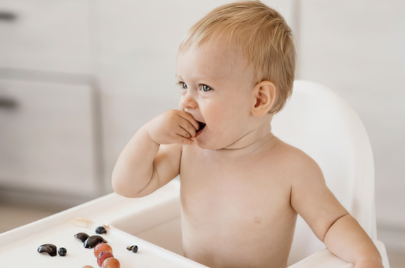 Your Baby Eats with All Eight Senses