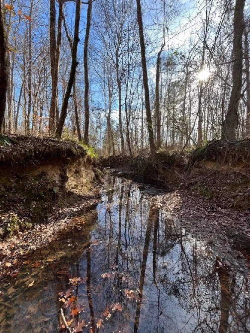 139.65 Webster Brochure_Page_08_Image_0002.jpg