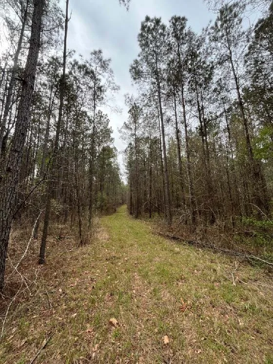80choctaw_Page_5_Image_0001.jpg