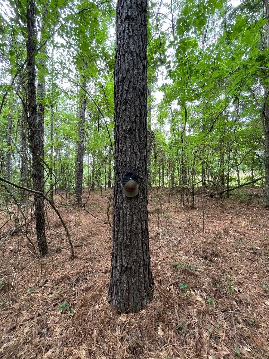 5.65 Webster PPT_Page_3_Image_0002.jpg