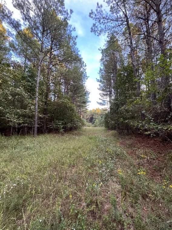 130 Okt Brochure_Page_4_Image_0002.jpg