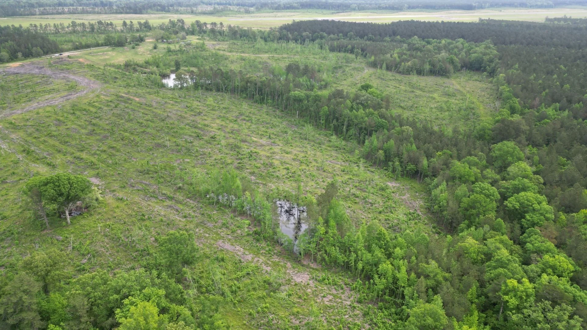 127 Kemper Brochure PDF_Page_2_Image_0002.jpg