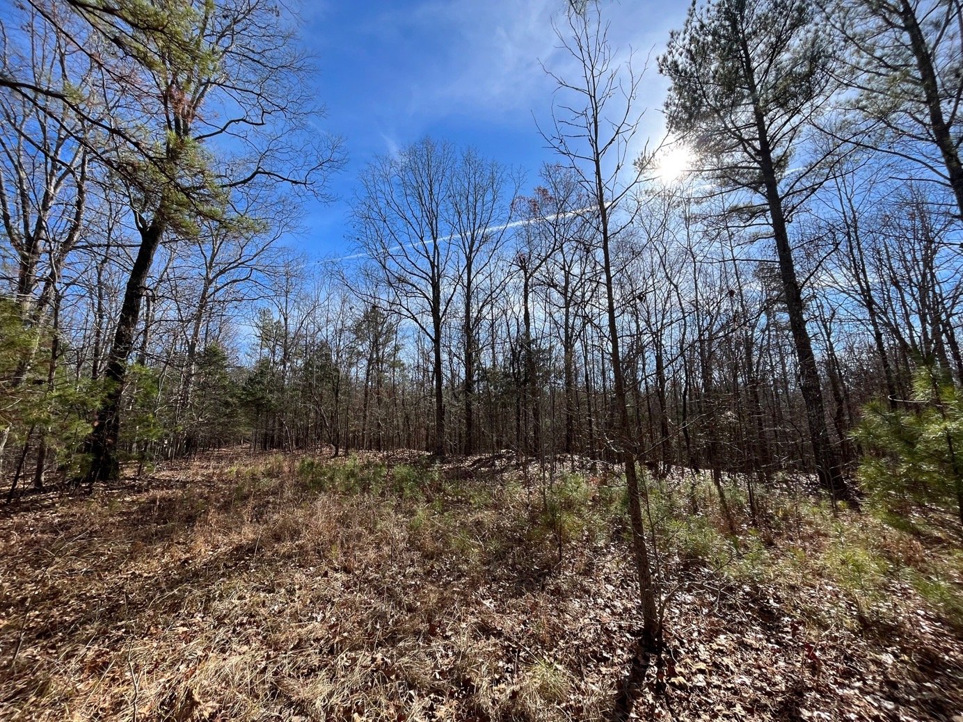 139.65 Webster Brochure_Page_09_Image_0002.jpg