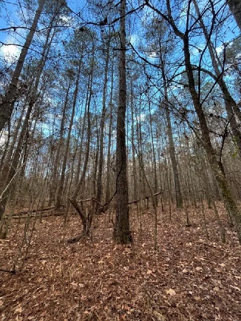 139.65 Webster Brochure_Page_05_Image_0003.jpg