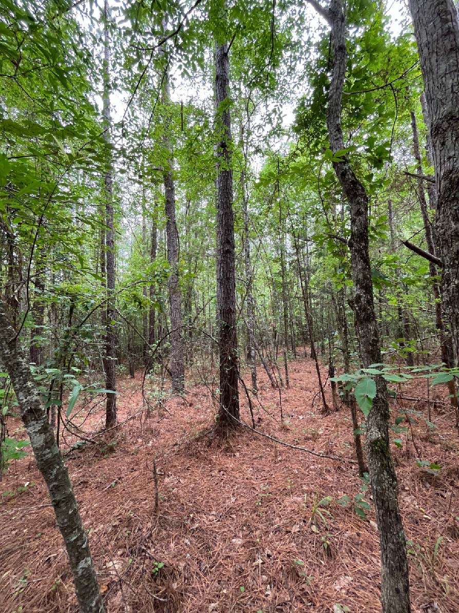 5.65 Webster PPT_Page_3_Image_0003.jpg