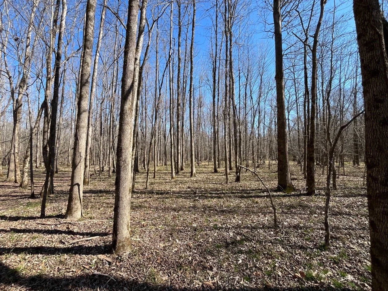 212 Winston Brochure_Page_06_Image_0002.jpg