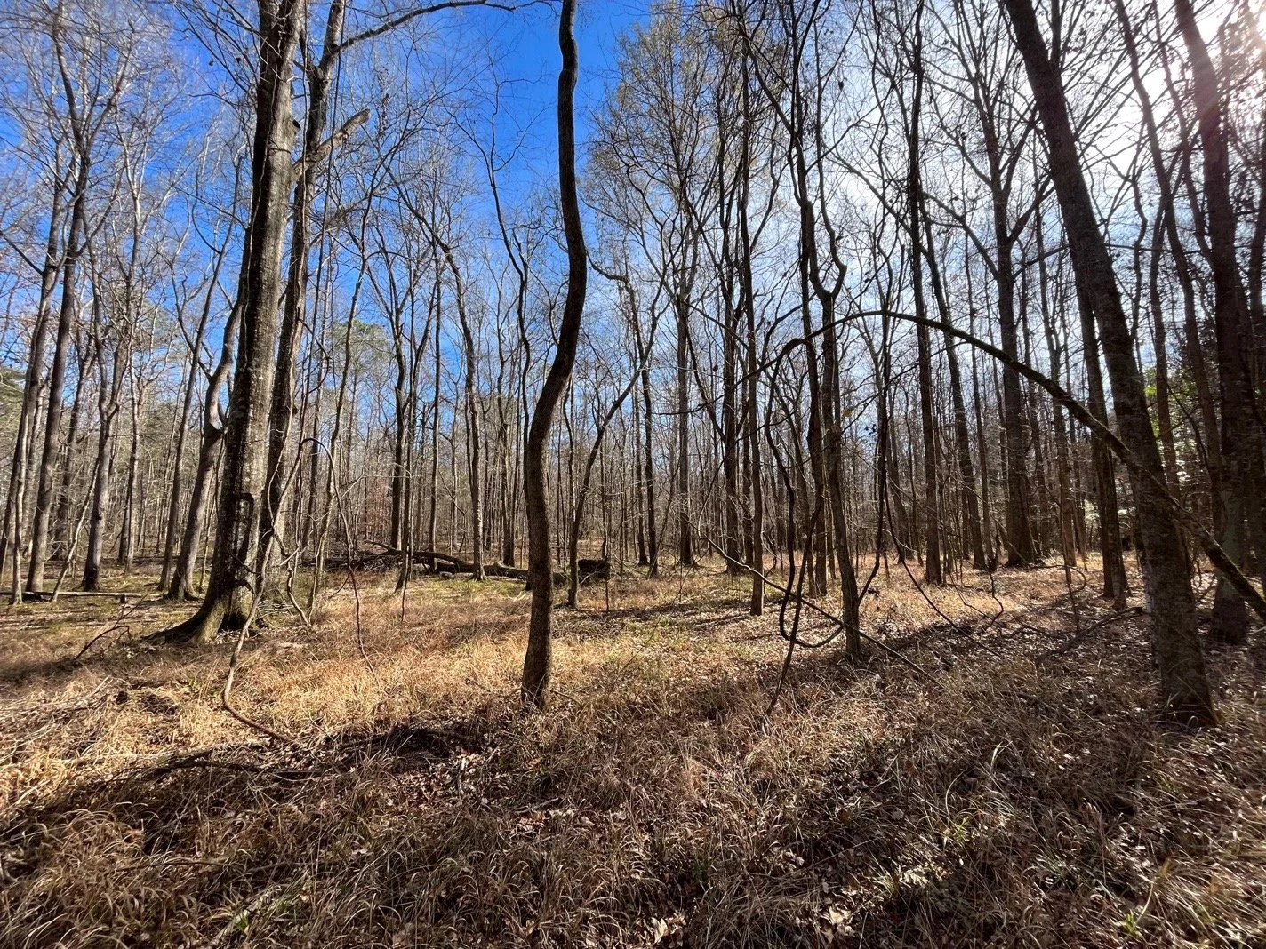 139.65 Webster Brochure_Page_06_Image_0002.jpg