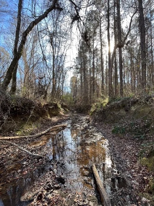 139.65 Webster Brochure_Page_08_Image_0001.jpg