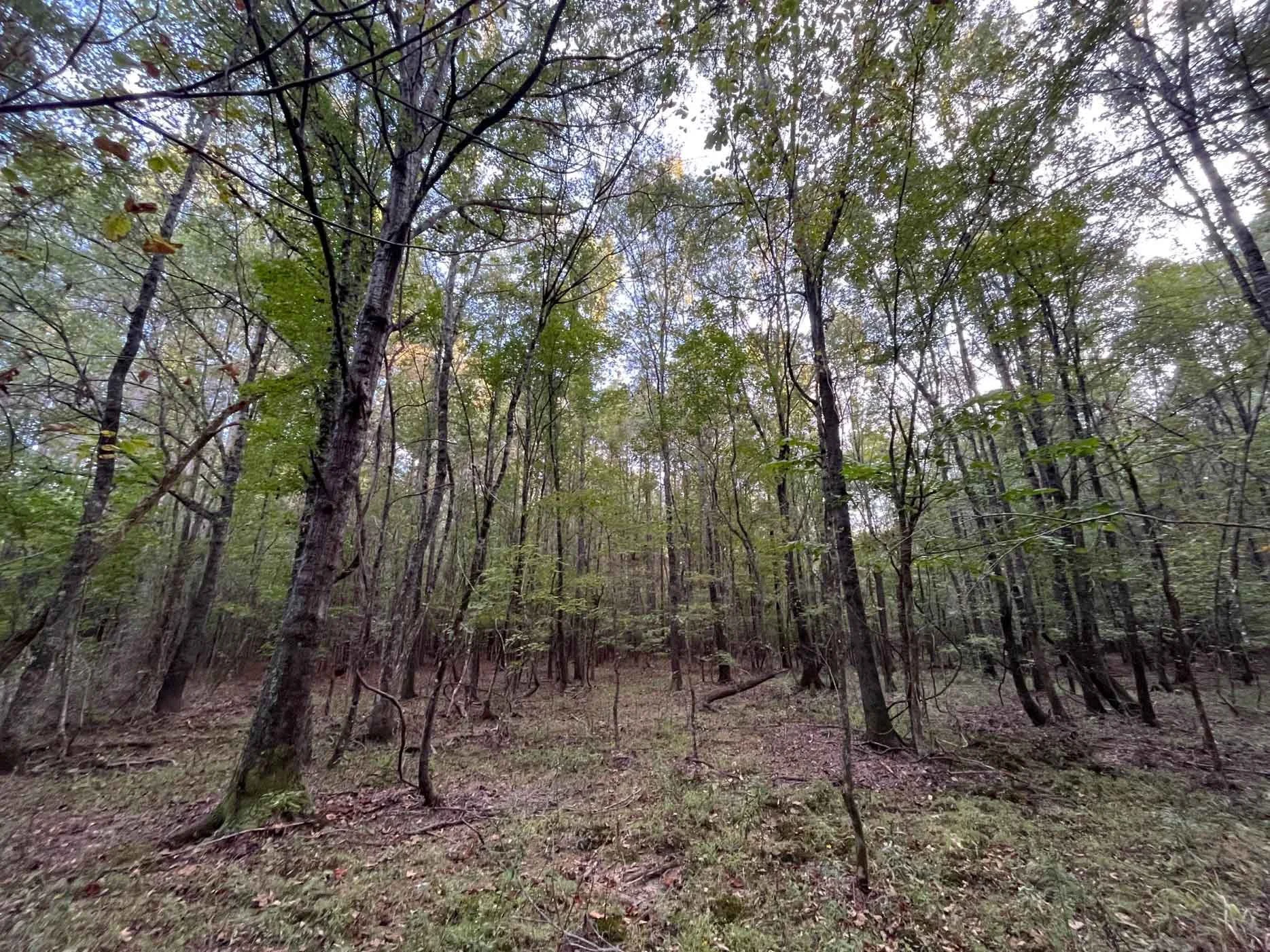 130 Okt Brochure_Page_4_Image_0004.jpg