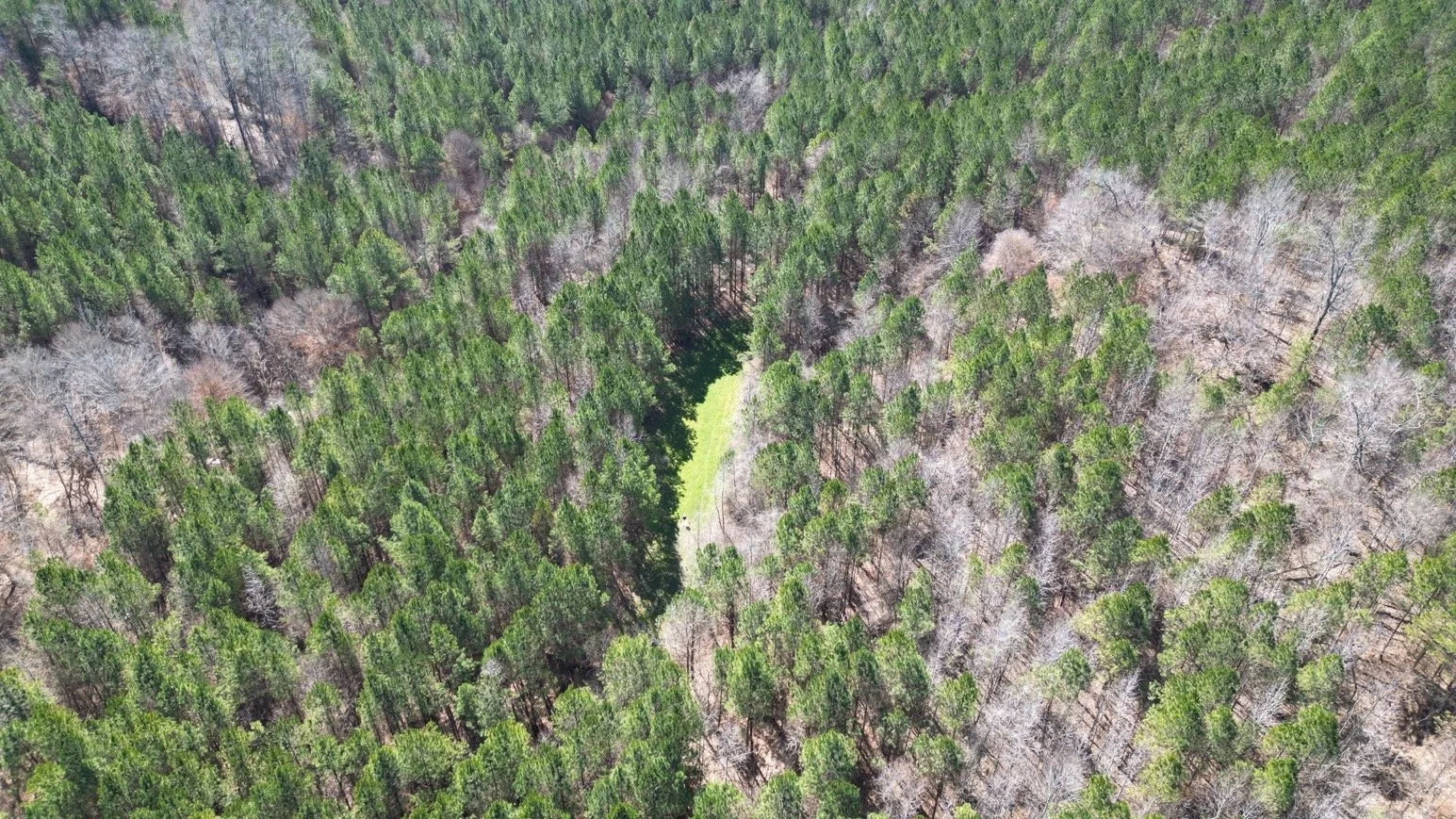 212 Winston Brochure_Page_02_Image_0002.jpg