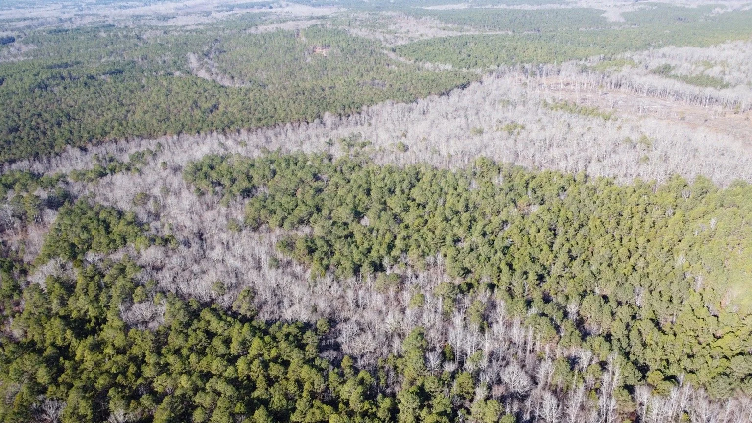 139.65 Webster Brochure_Page_02_Image_0001.jpg