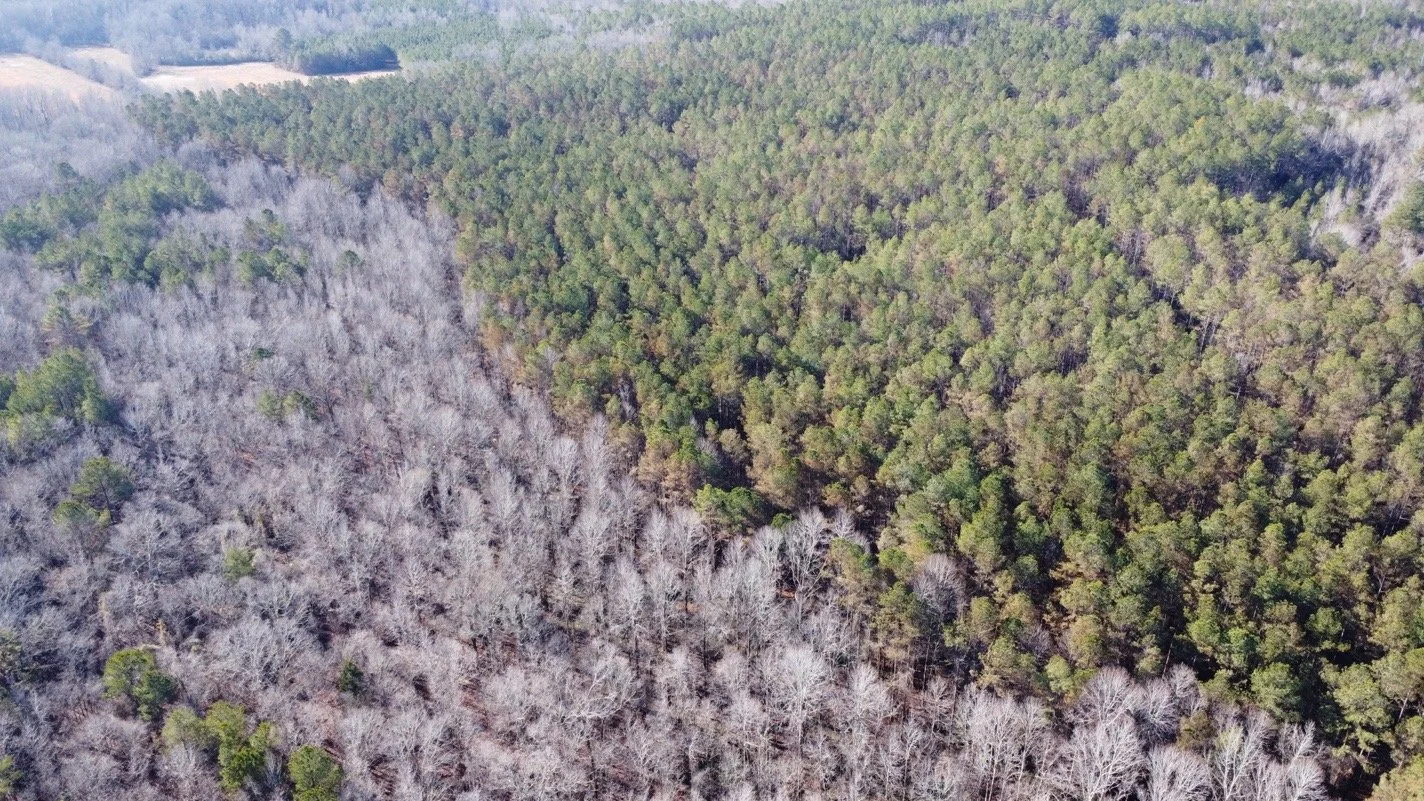 139.65 Webster Brochure_Page_03_Image_0001.jpg