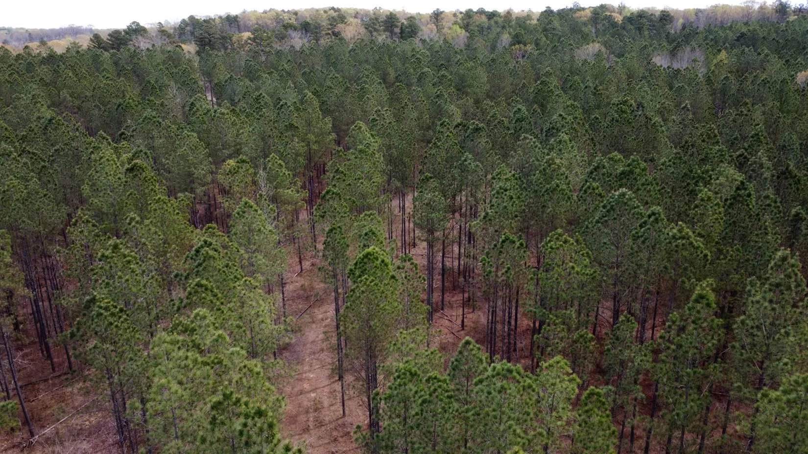 40Choctaw_Page_2_Image_0002.jpg