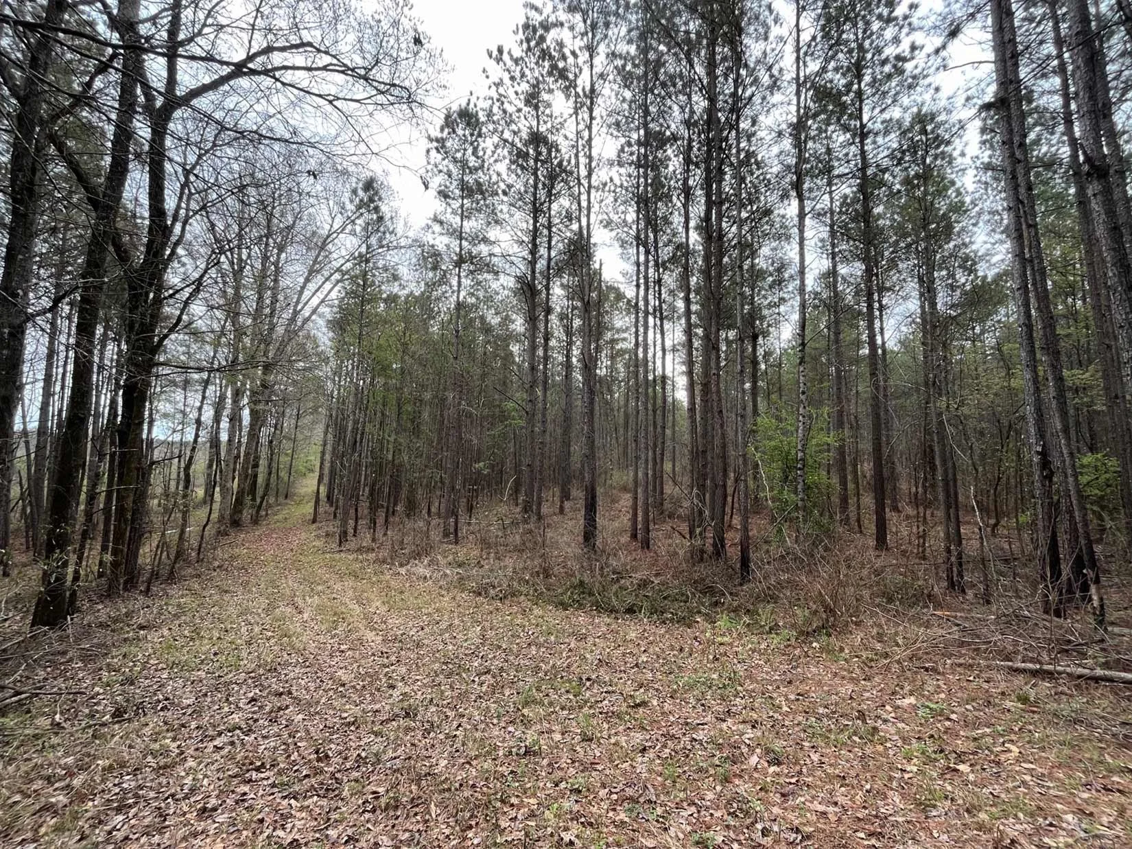 80choctaw_Page_4_Image_0003.jpg