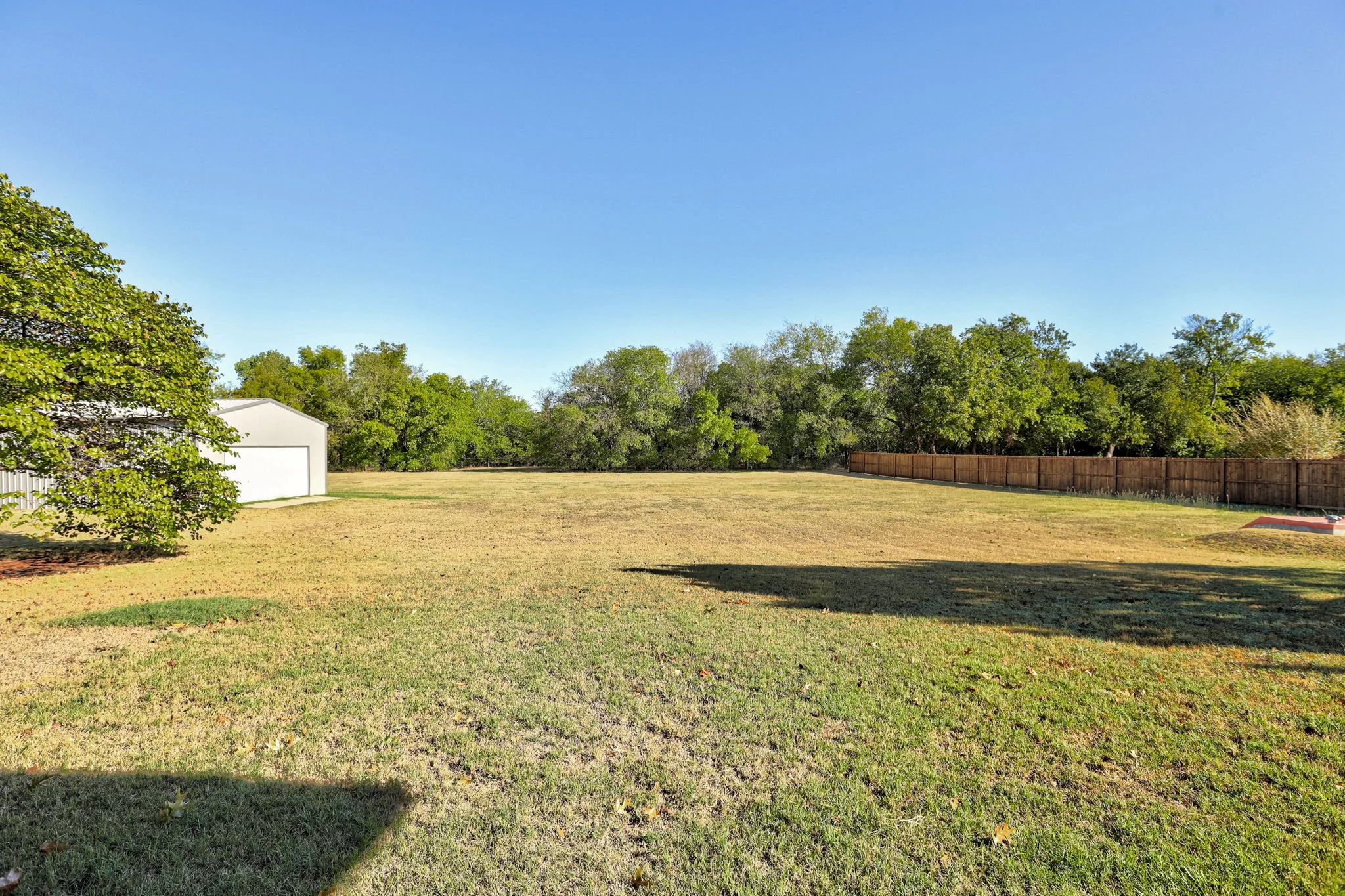 An open grassy backyard with a white shed, a wooden fence, and trees under a clear blue sky.