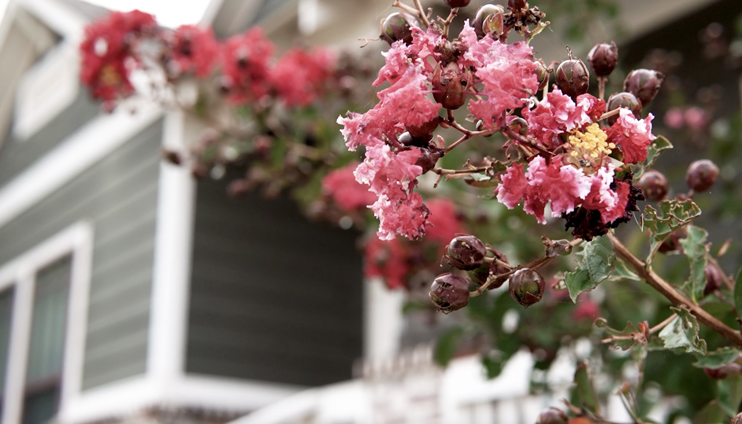 Resort-Style Living in Edmond: A Tour of 1700 Boathouse Rd