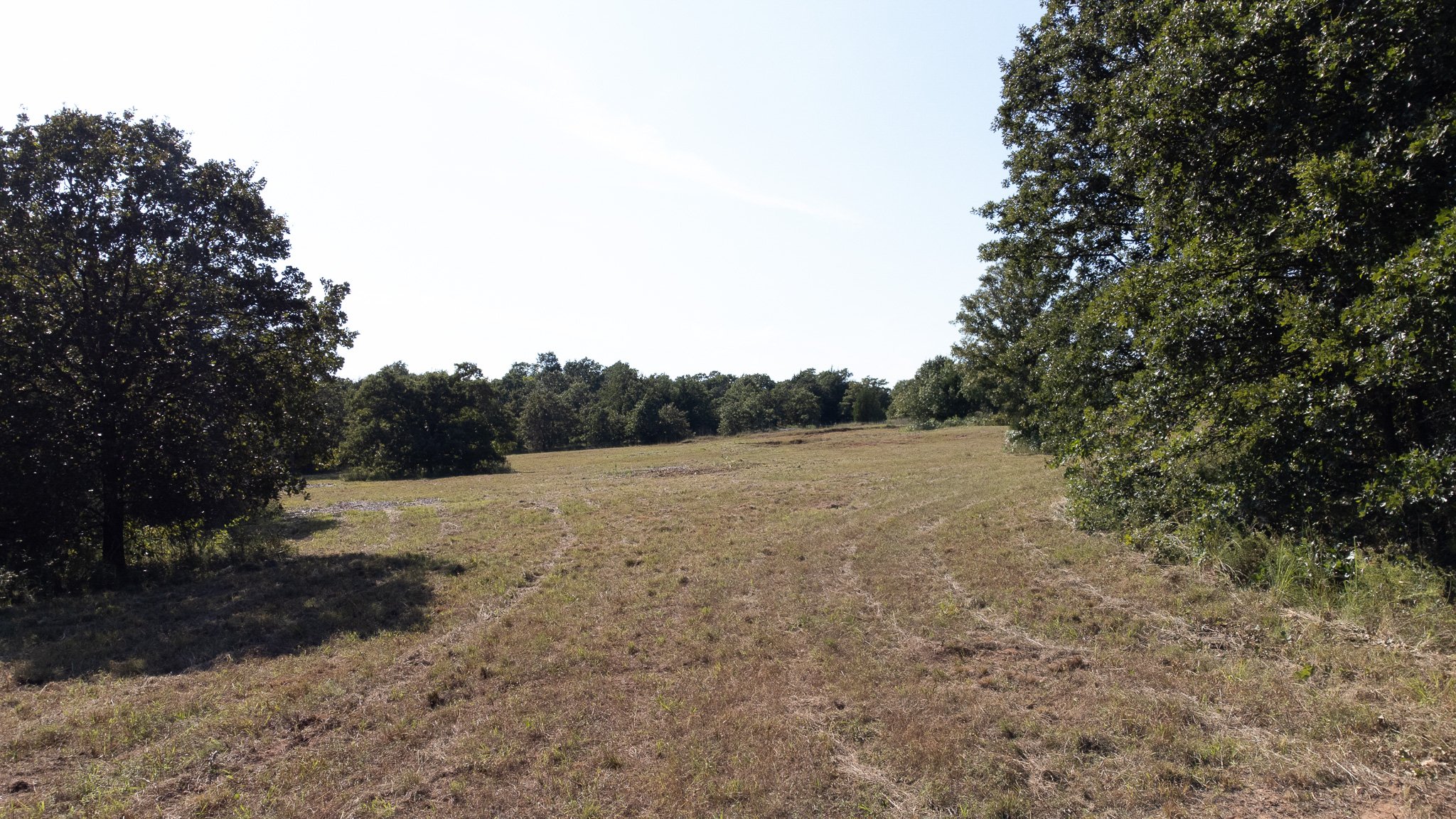 A detailed drone view looking into the canopy of a 10-acre parcel. The image highlights the dense native oak and elm trees, demonstrating the natural privacy and shade provided by this large, wooded Oklahoma County lot.