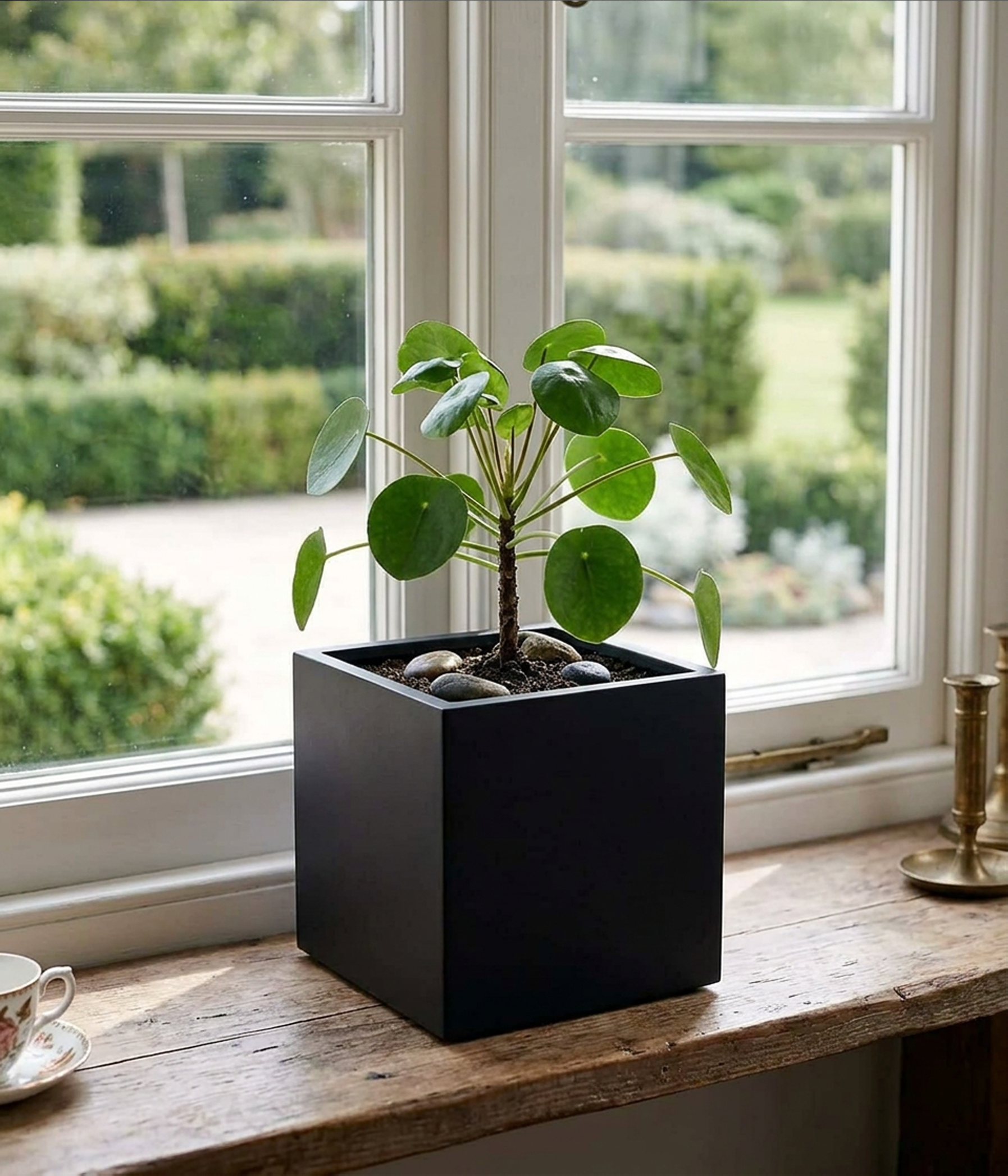 40cm cube inside house.png