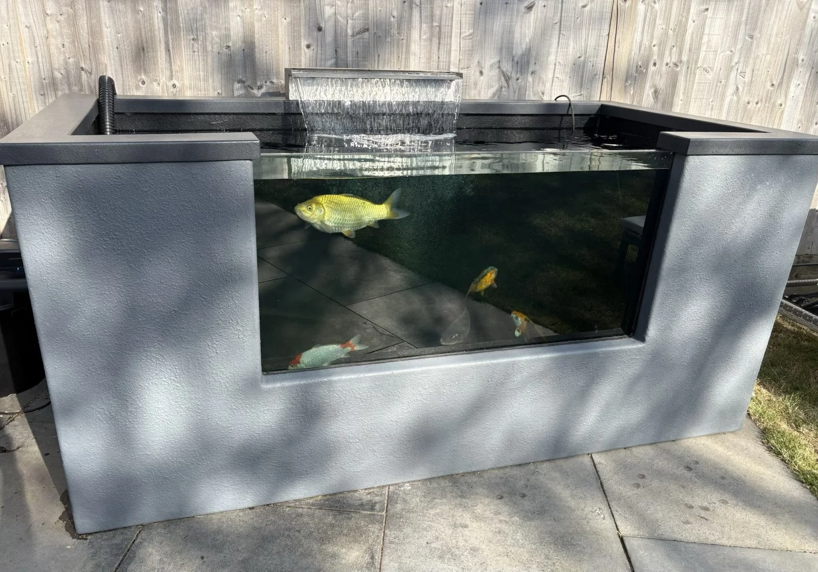 Matts pond.jpg
