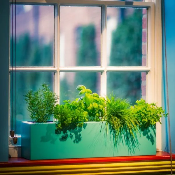 GRP-WINDOW-BOX-outside windowsill.jpg