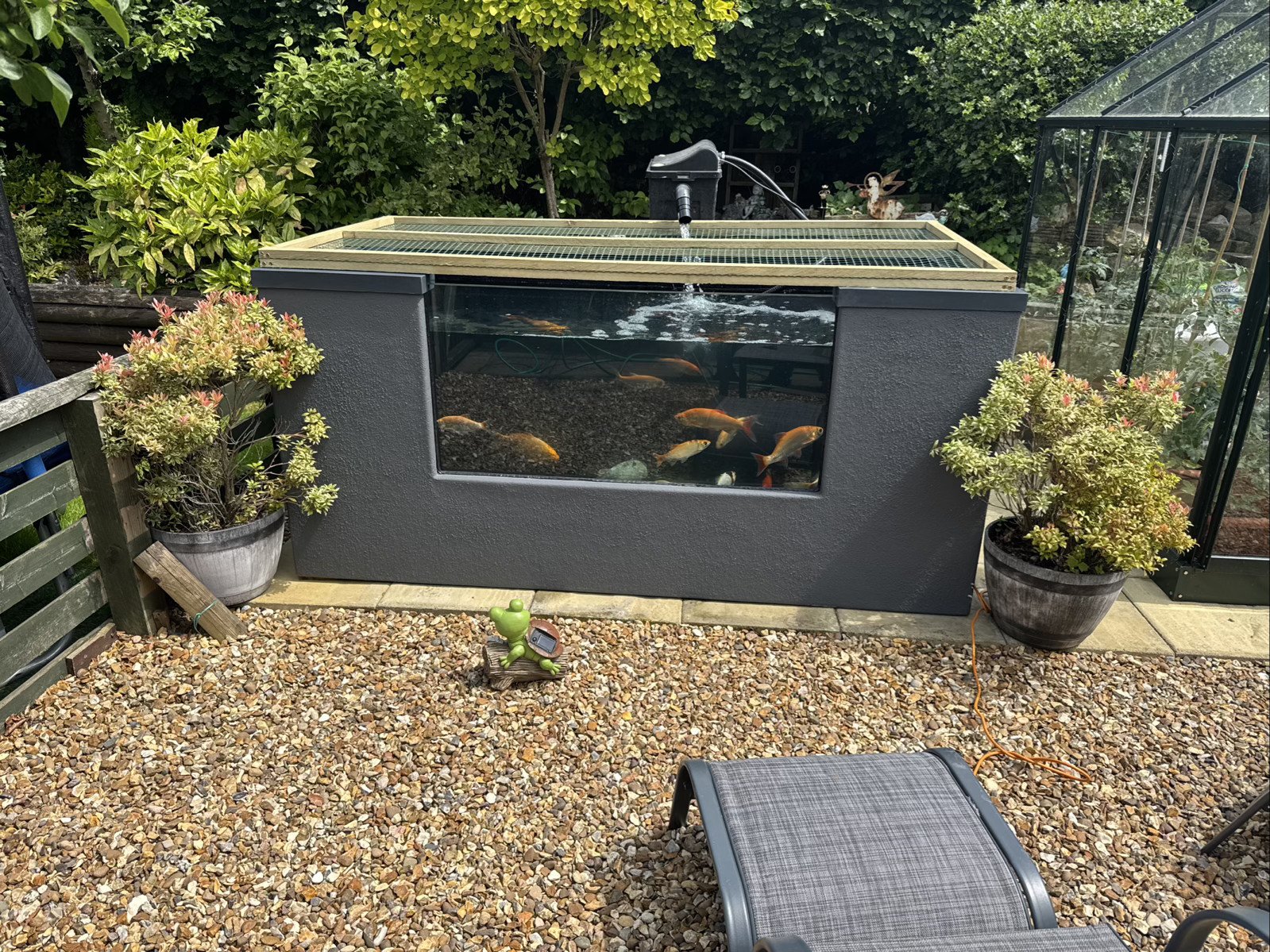 pond in situ.jpg