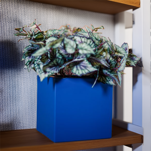 Cube planter on shelf.png