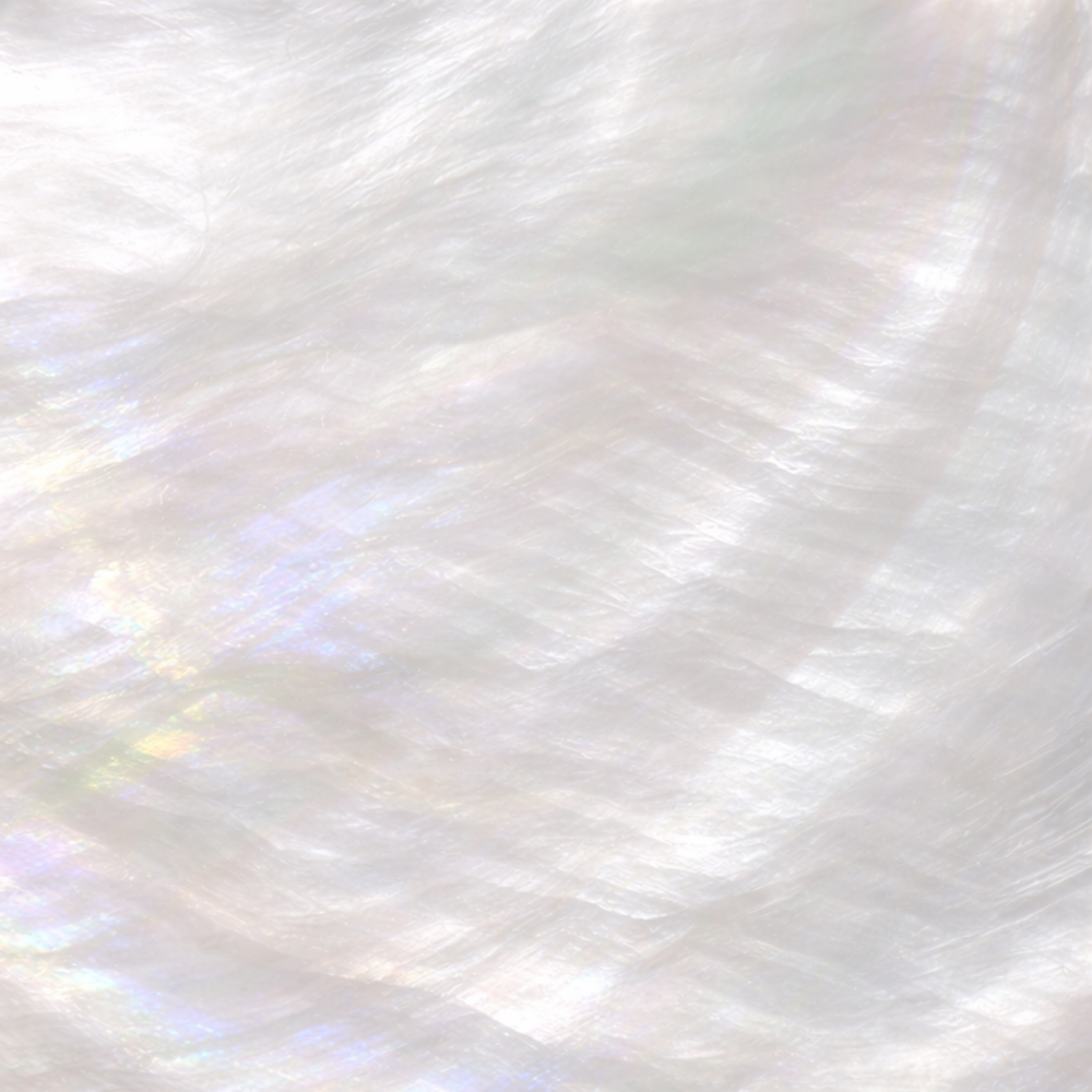 MOP_Surface_2.png