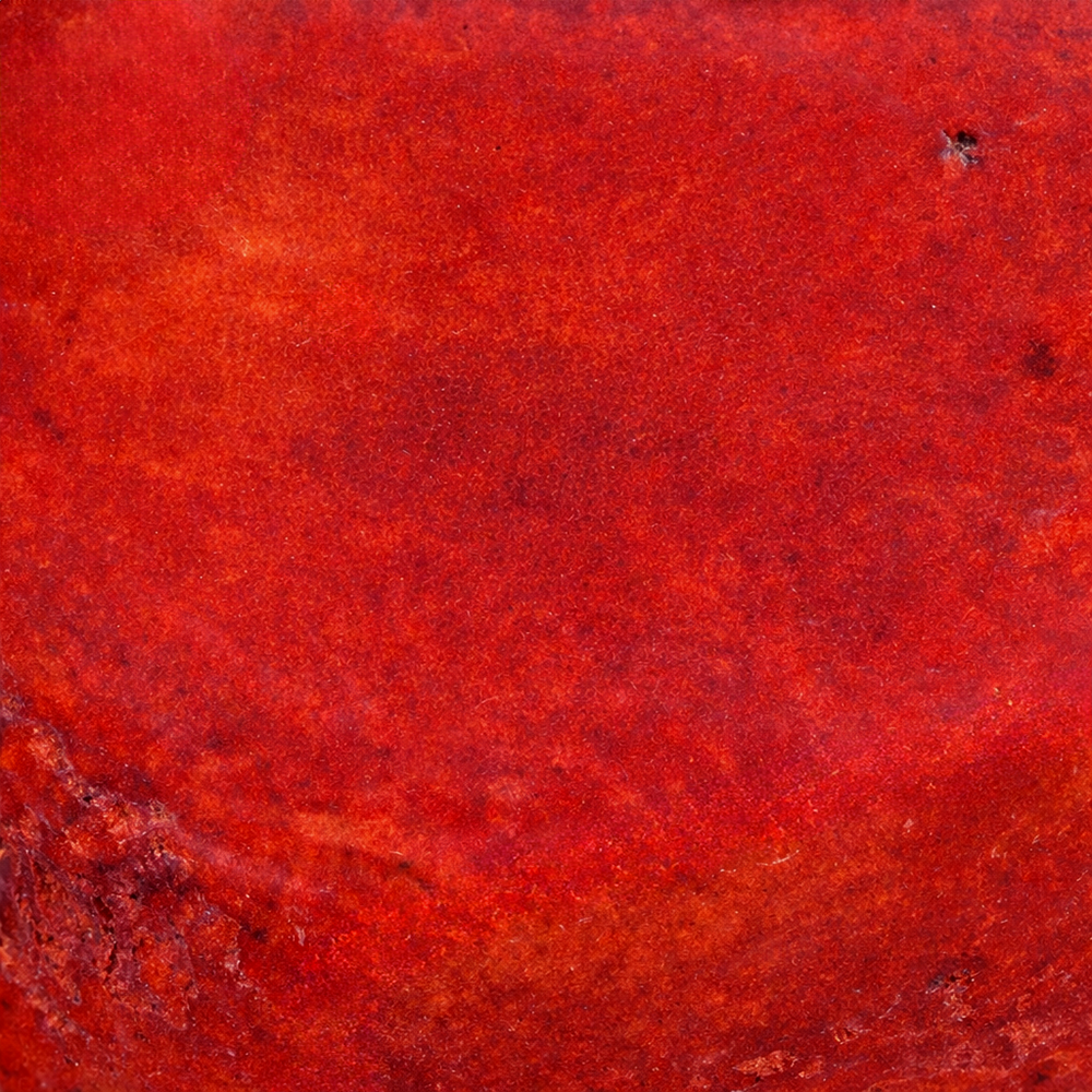 Red_Bamboo_Coral_Surface_4.png