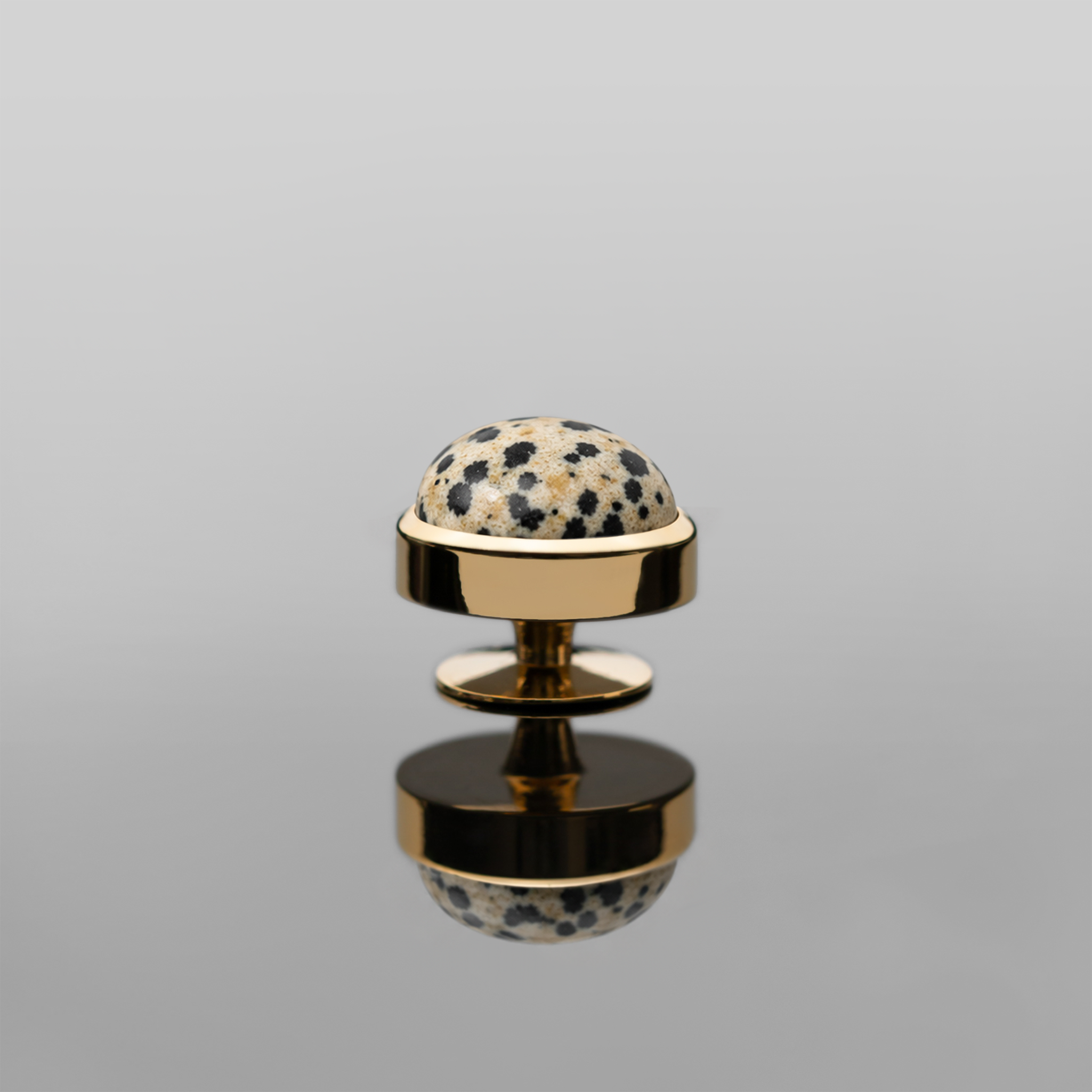 JASPER (DALMATIAN)