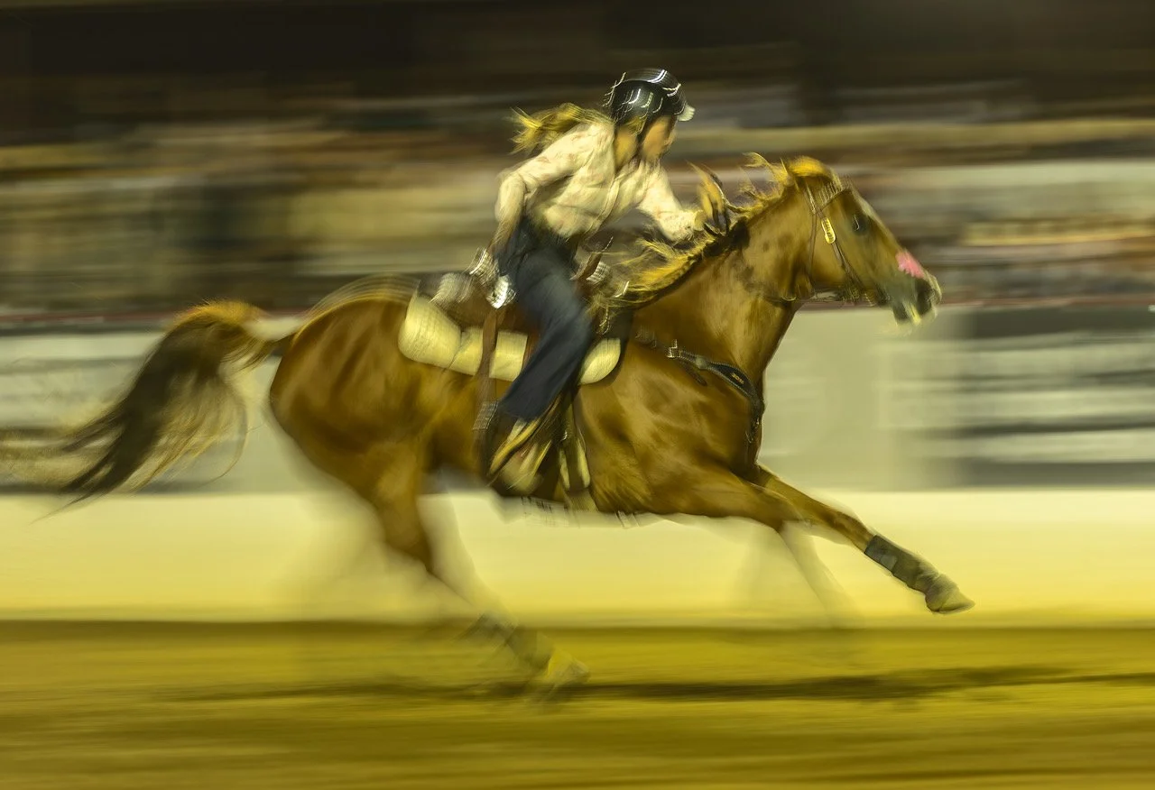 2025_Santa-Barbara-Friday_Perf-WBR-Cameron_Steagull-16.69_Sec-S.Hagen.jpeg