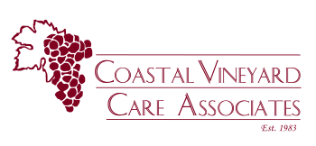 New-Cvca-logo (002).png