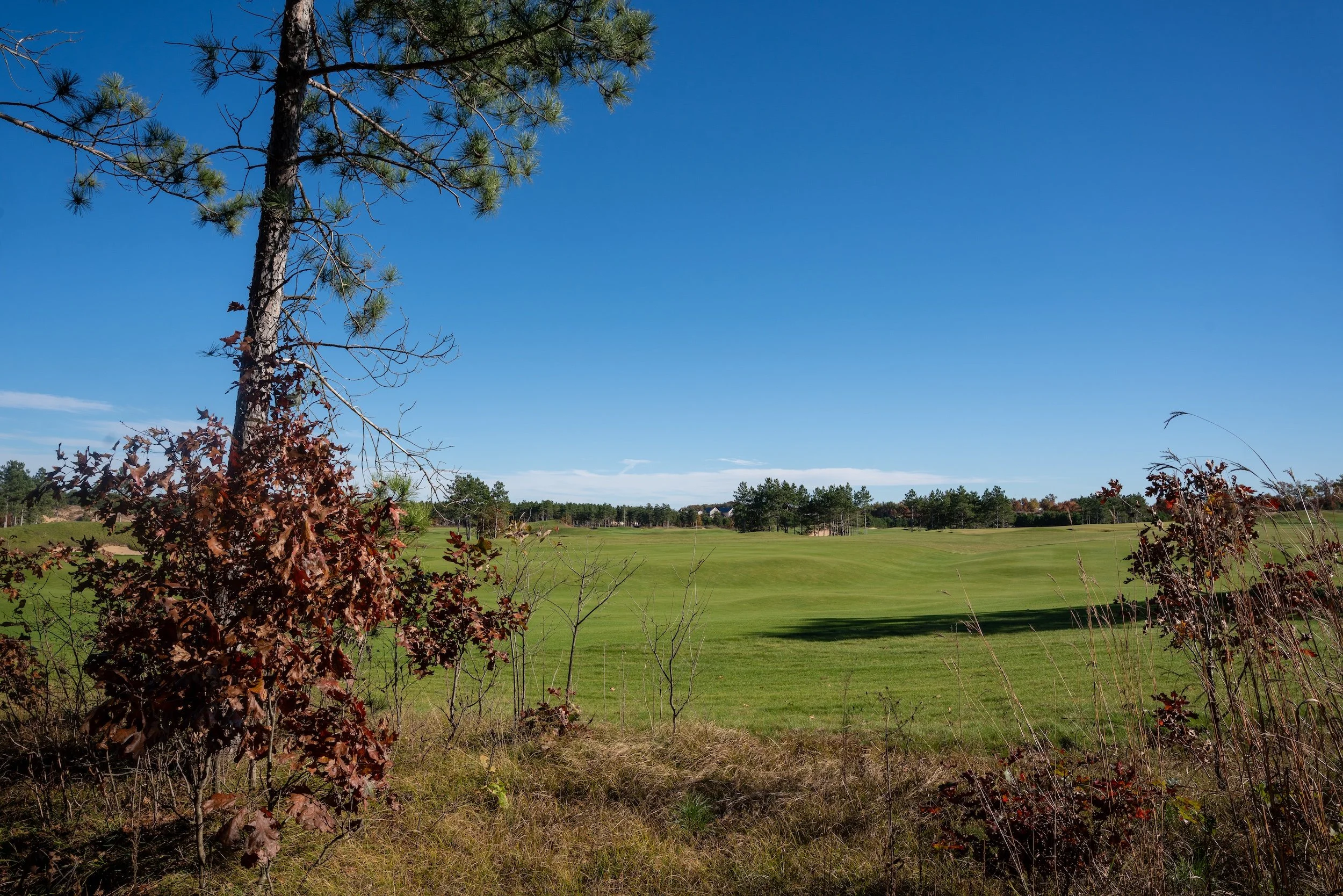 SandValleyRealEstate-Sedge-Village-Homesite-52-4.jpg